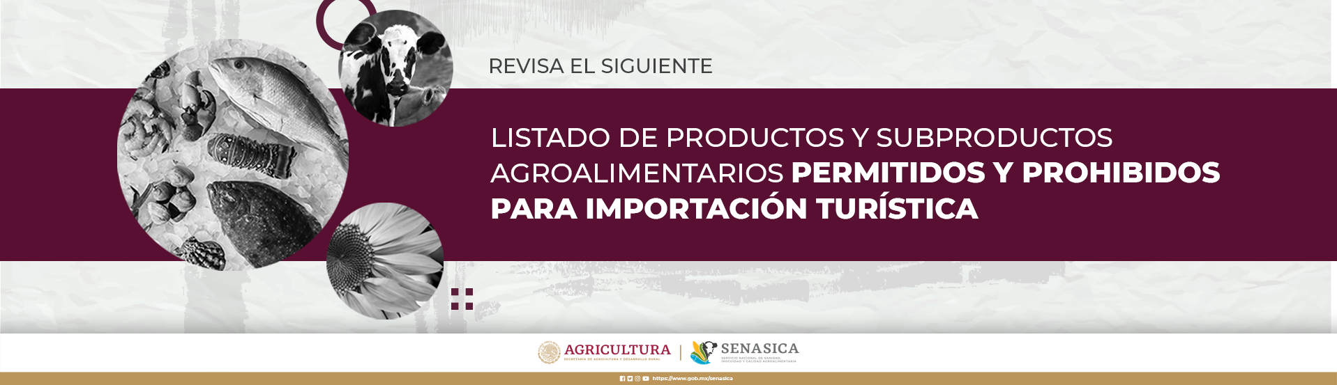 banner6.3b8e814179b657499173